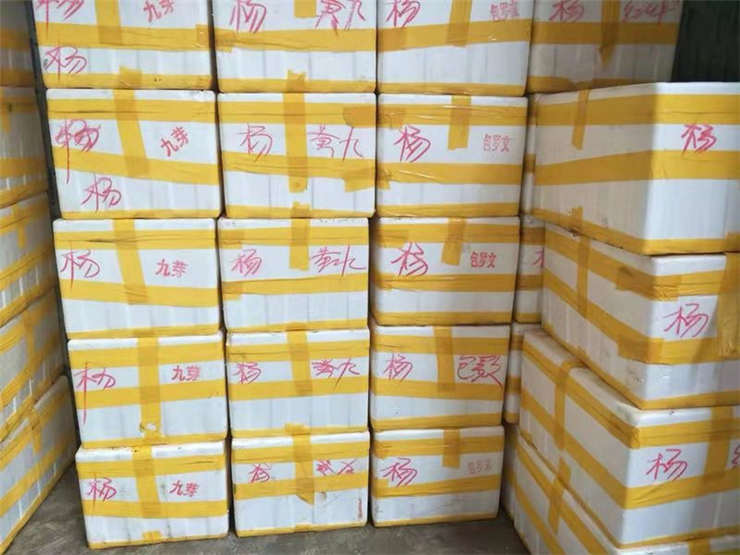 中国·拉斯维加斯(3499·官方认证)网站-Officialwebsite