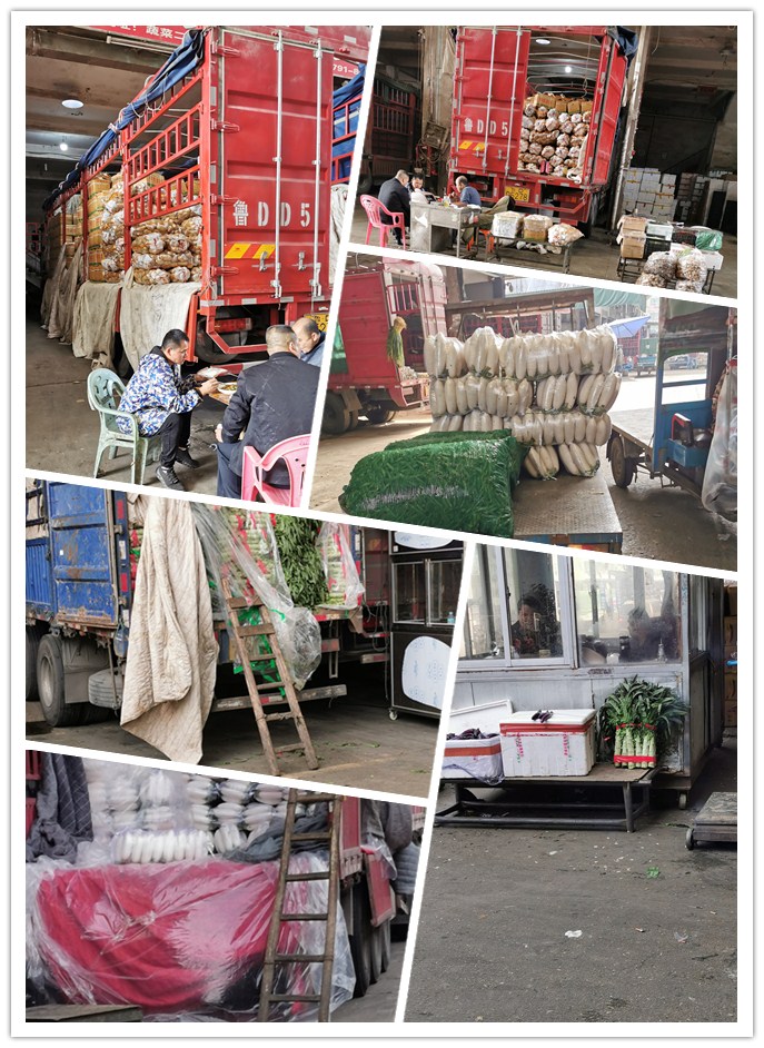 中国·拉斯维加斯(3499·官方认证)网站-Officialwebsite