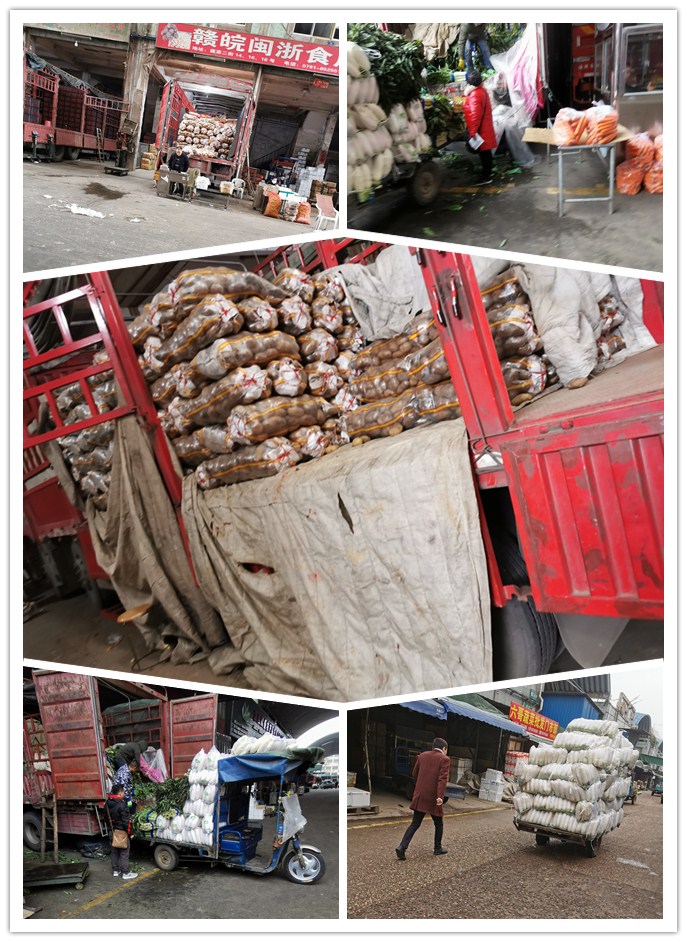 中国·拉斯维加斯(3499·官方认证)网站-Officialwebsite