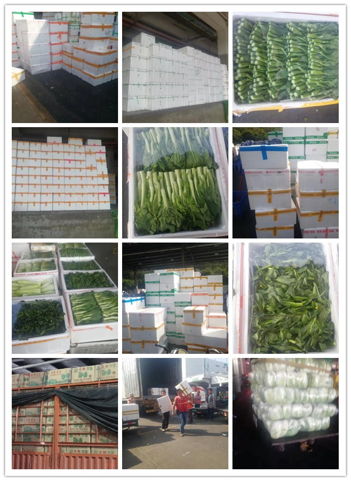 中国·拉斯维加斯(3499·官方认证)网站-Officialwebsite