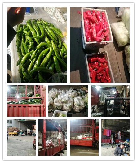 中国·拉斯维加斯(3499·官方认证)网站-Officialwebsite