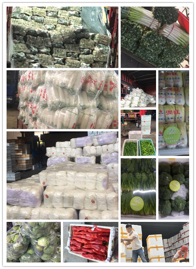 中国·拉斯维加斯(3499·官方认证)网站-Officialwebsite