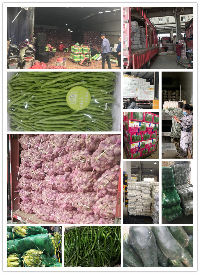 中国·拉斯维加斯(3499·官方认证)网站-Officialwebsite