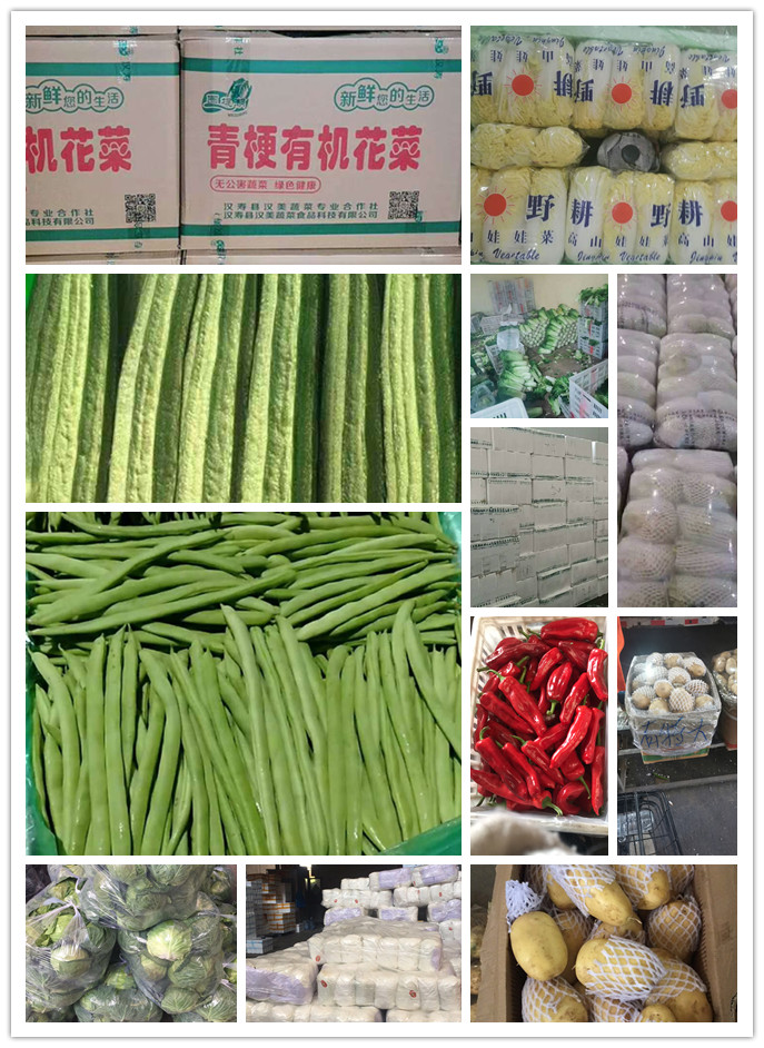 中国·拉斯维加斯(3499·官方认证)网站-Officialwebsite