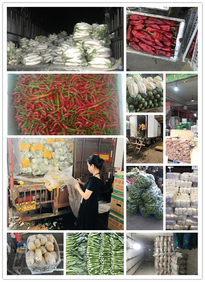 中国·拉斯维加斯(3499·官方认证)网站-Officialwebsite