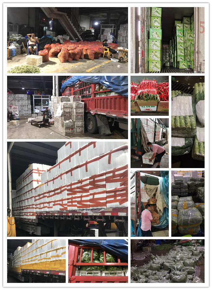 中国·拉斯维加斯(3499·官方认证)网站-Officialwebsite