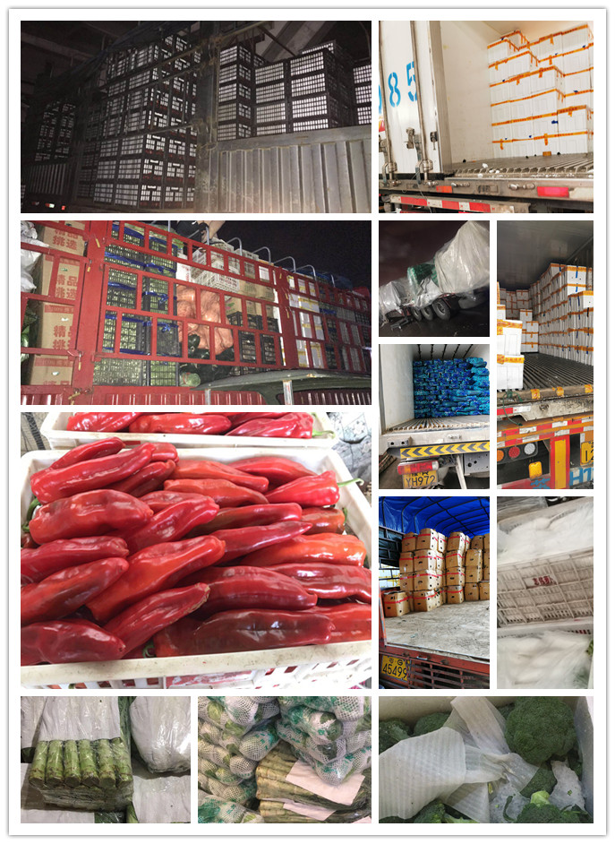 中国·拉斯维加斯(3499·官方认证)网站-Officialwebsite
