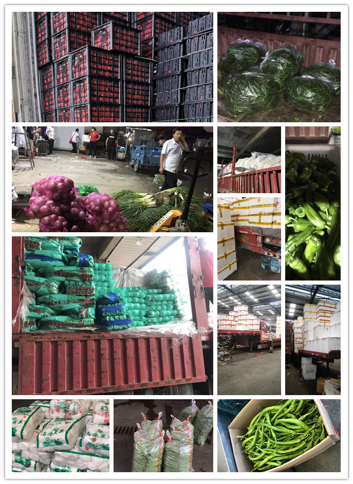 中国·拉斯维加斯(3499·官方认证)网站-Officialwebsite