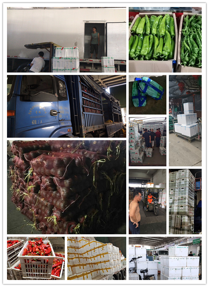 中国·拉斯维加斯(3499·官方认证)网站-Officialwebsite