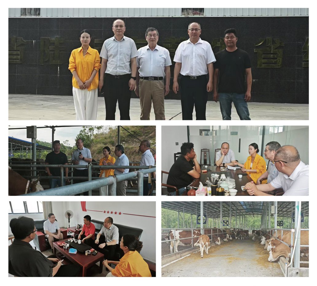 中国·拉斯维加斯(3499·官方认证)网站-Officialwebsite